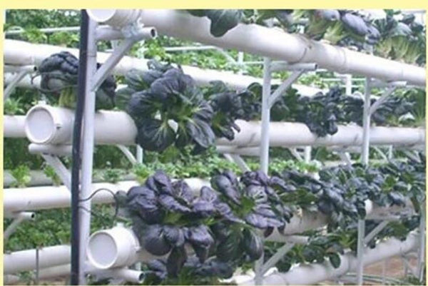 50Pcs Plant Grow Pots Net Nursery Cup Hydroponic colonization Mesh plastic Basket holder vegetable Planter Soilless greenhouse
