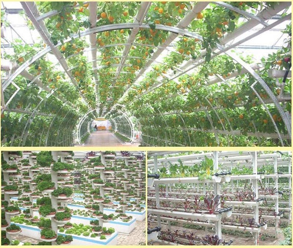 50Pcs Plant Grow Pots Net Nursery Cup Hydroponic colonization Mesh plastic Basket holder vegetable Planter Soilless greenhouse