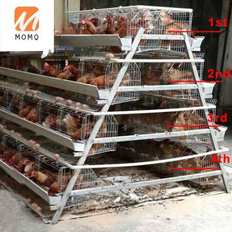 5 tier 200 birds laying hens chicken cage battery cage with nipple for layers farms