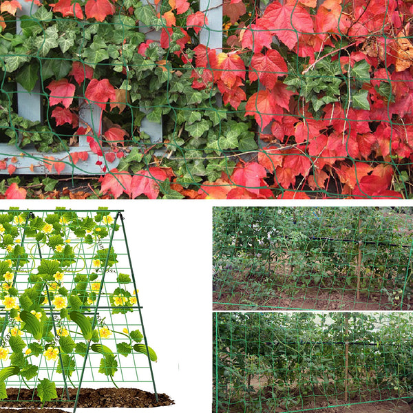 Foldable Cucumber Trellis  Garden Trellis Set for Raised Bed Detachable Climbing Trellis for Outdoor Plant Flowers Vegetables